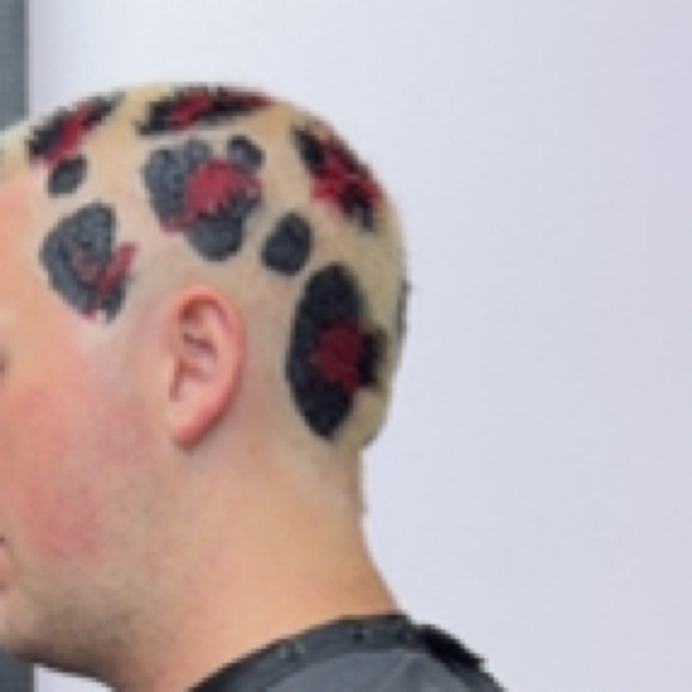 Buzzed Hair Art at Hair by Paige N in Plainfield, IN