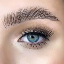 Brow Tint