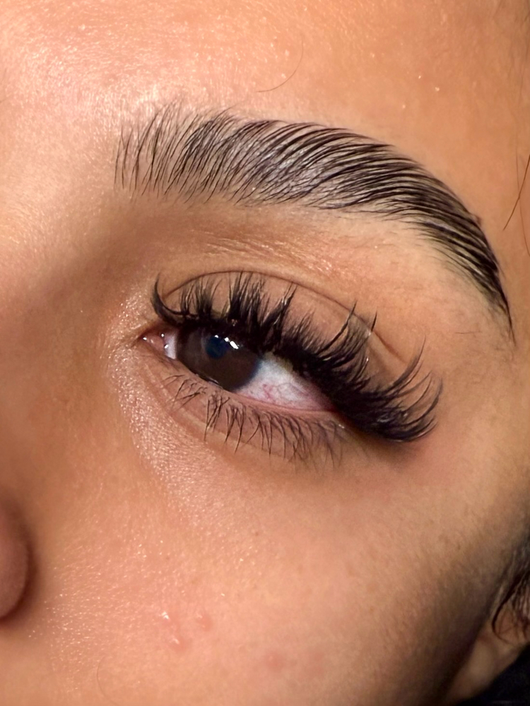 Volume Lash Extension Full Set
