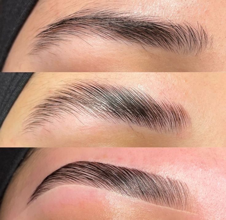 Brow Wax And Tint
