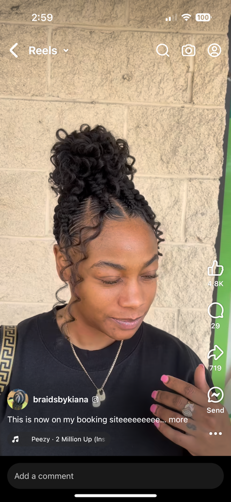 Butterfly Braid Ponytail
