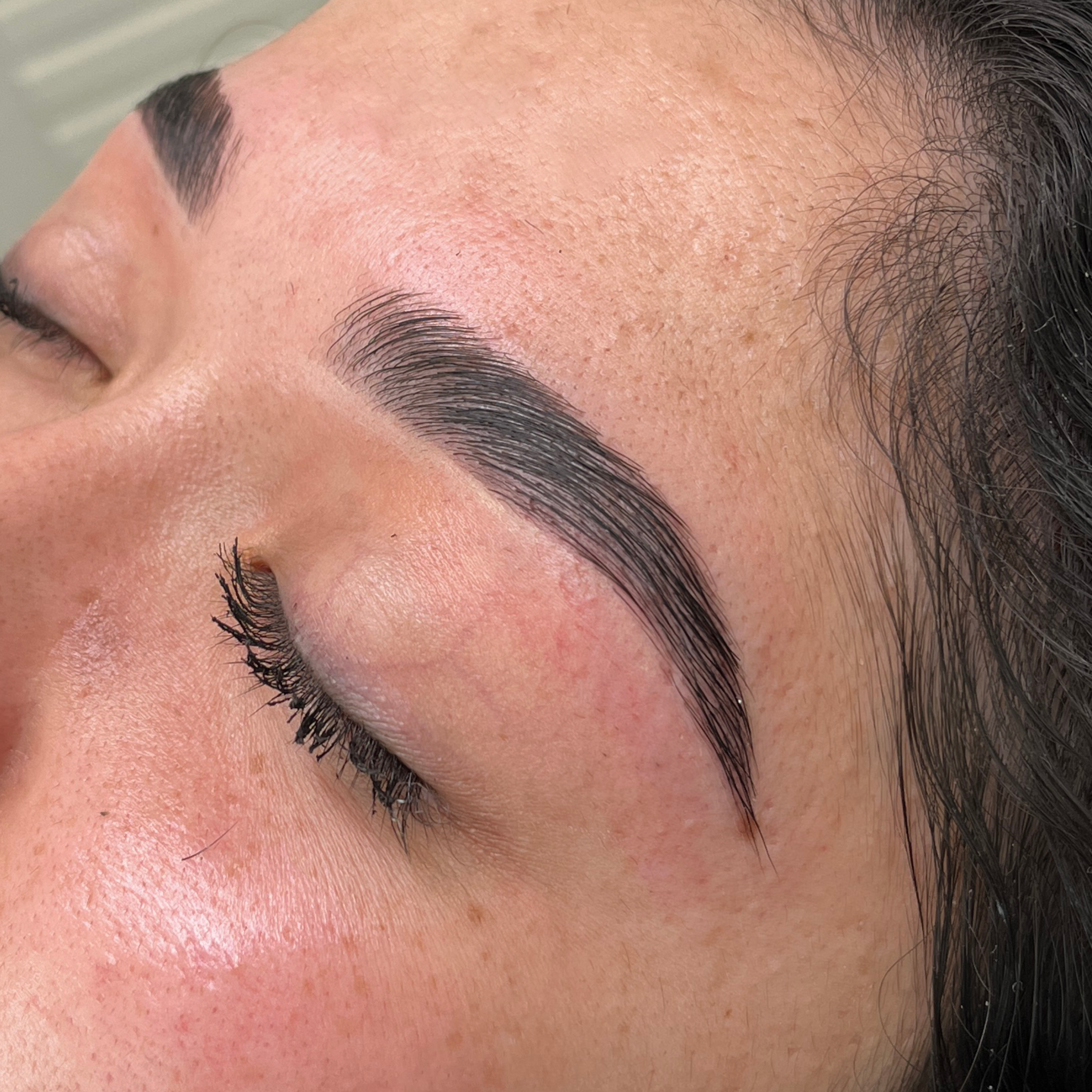 Brow Lamination w/ Tint