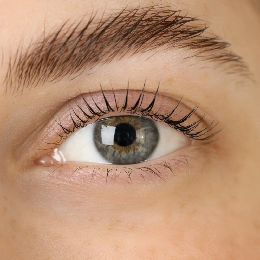 Brow Lamination at Irys Beauties in Tampa, FL