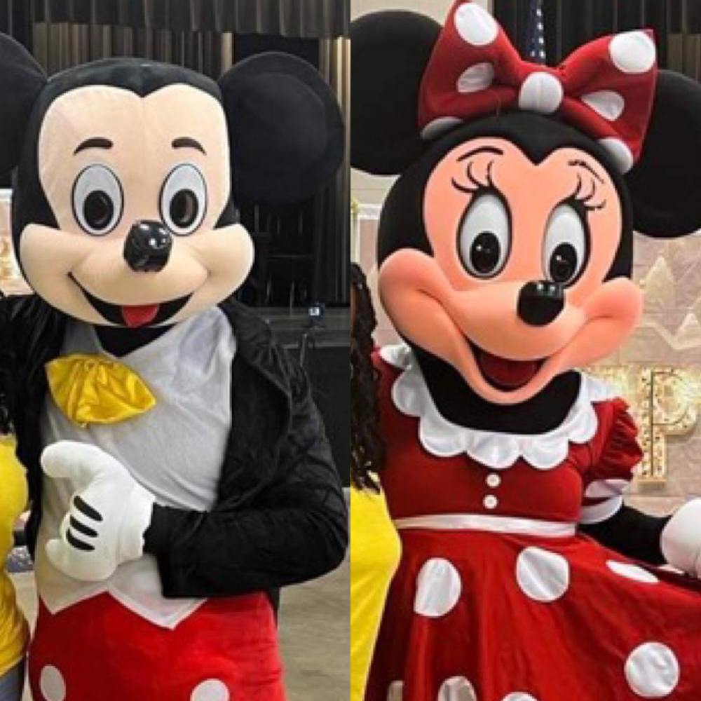 Mickey & Minnie Reglar Packege