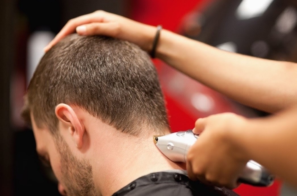 Clipper Cut Model