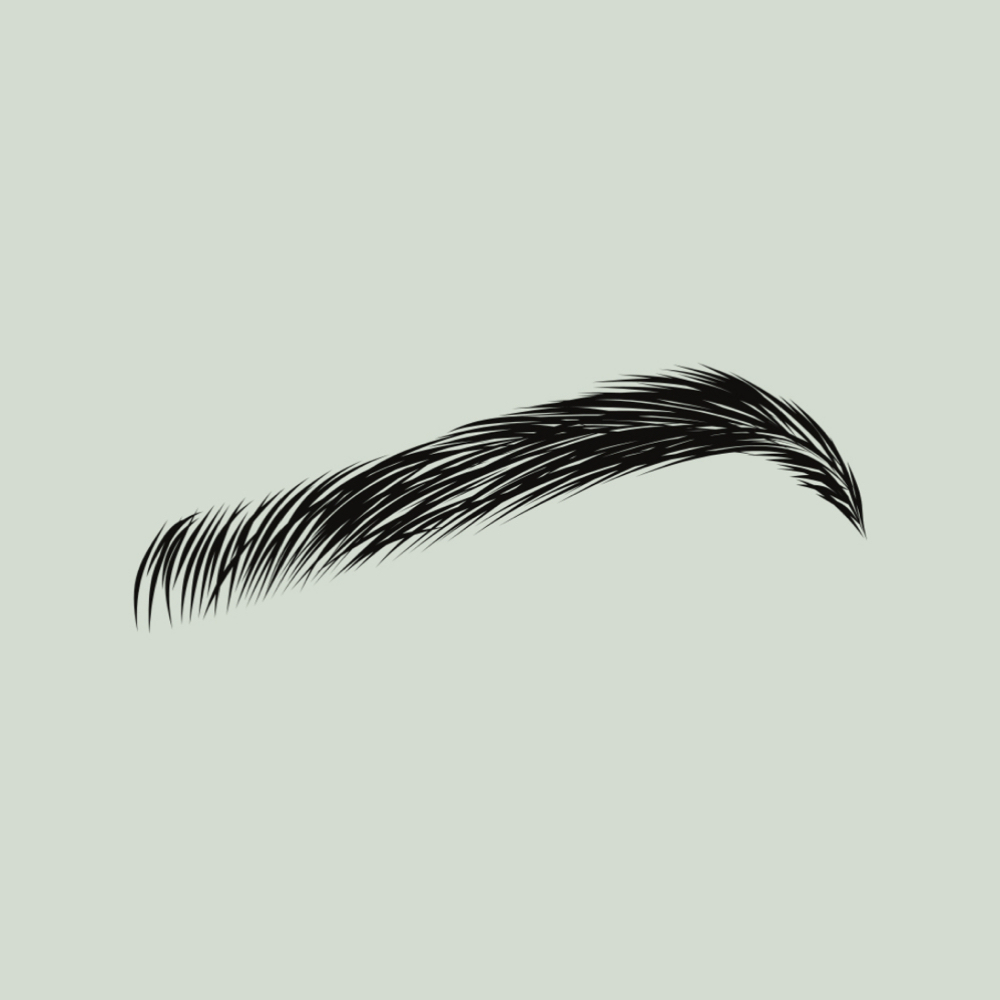 Brow Cleanup (Tweeze + Trim) at SK Esthetics in Spokane, WA