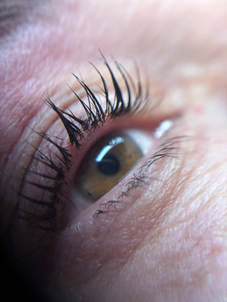 Lash Lift And Tint