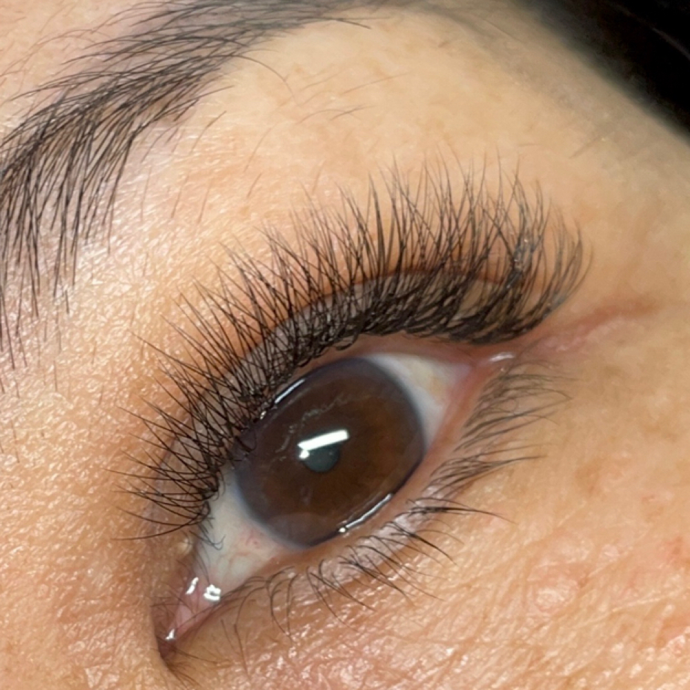 Classic 3 Week Lash Fill ( Sandy )