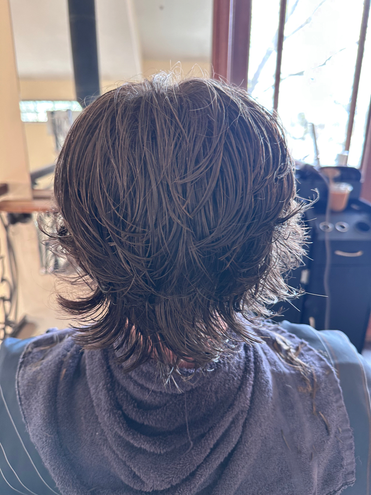 Clipper Cut