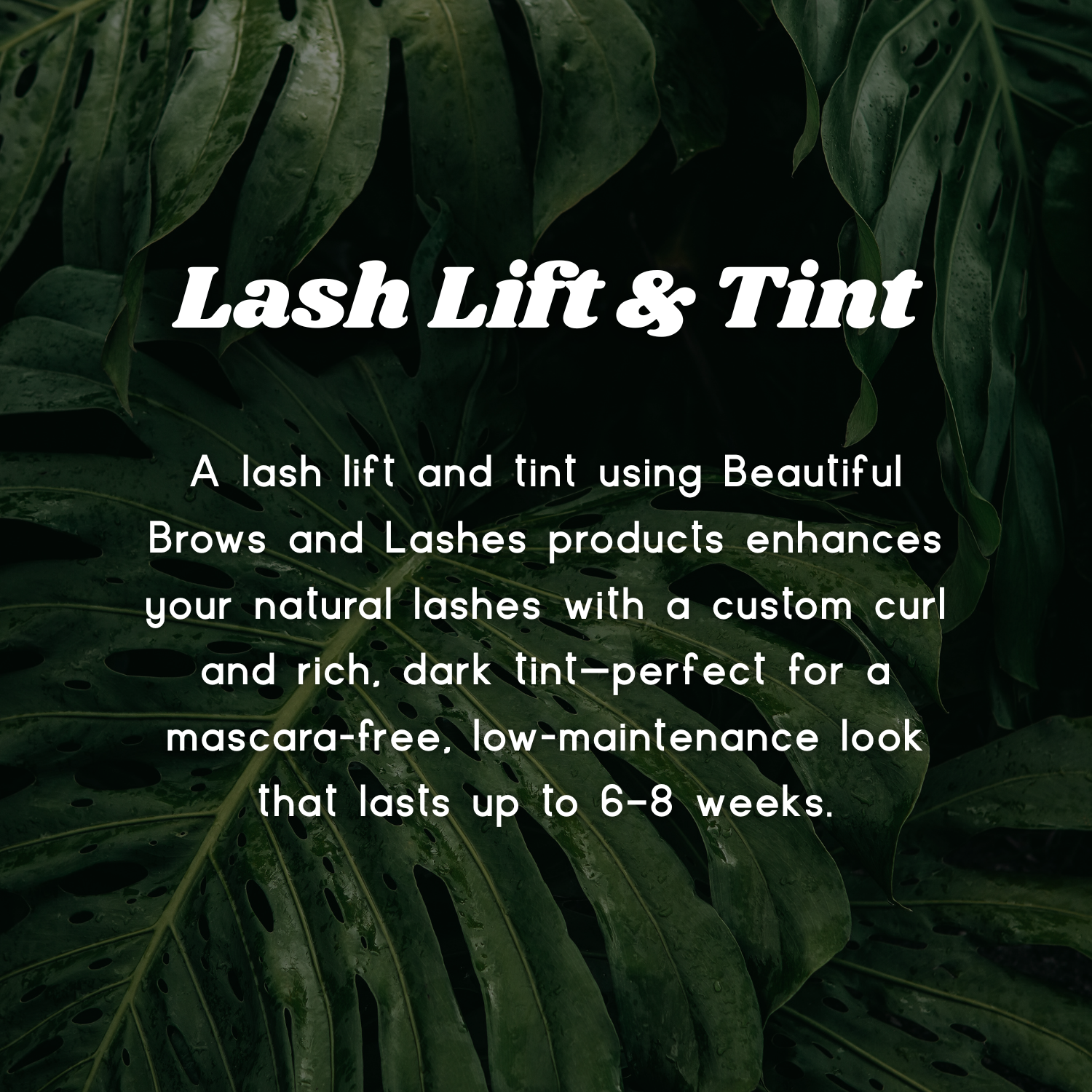 Lash Lift & Tint