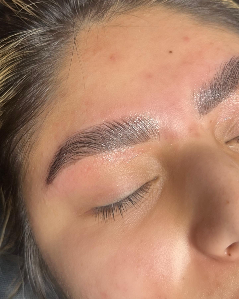 Brow Lamination + Wax + Tint