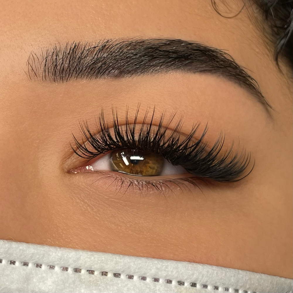 Signature Volume Lash Set