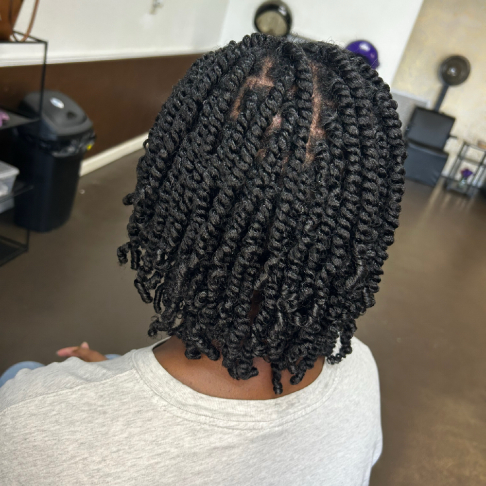Two-Strand Twist Set at Royal Touch Beauty Salon LLC in Dothan, AL