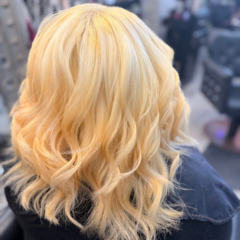 Root Bleach Touch Up & Tone at Salon Coronado & Spa in Buffalo, NY