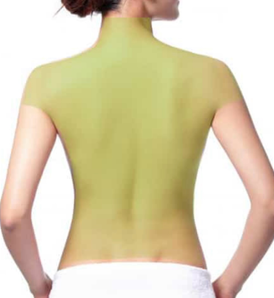 Full Back + Shoulders