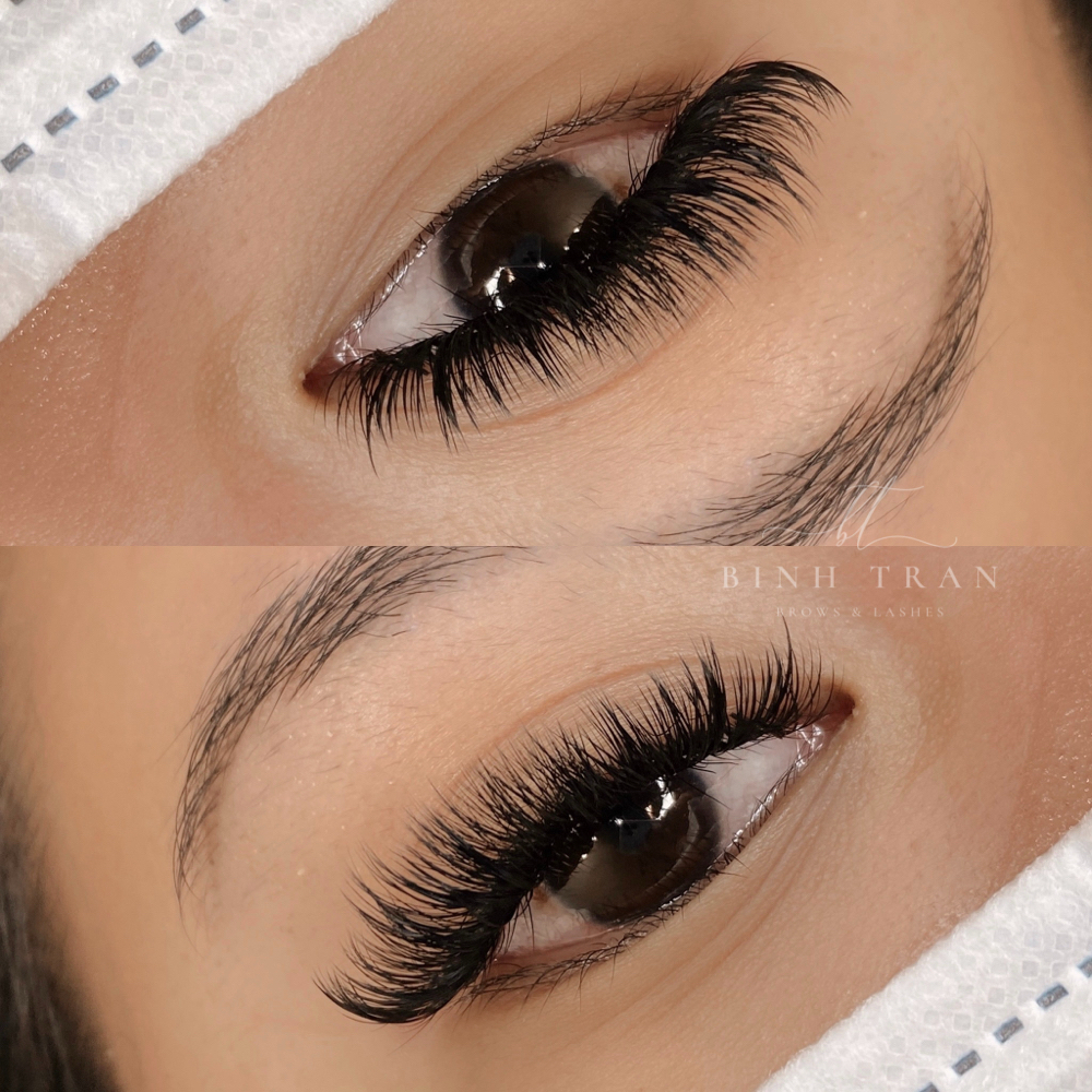 Lash Refill - Jr Artist at Transform Beaute in Hoffman Estates, IL