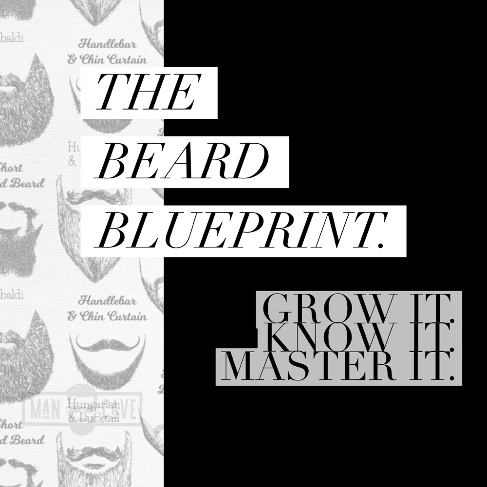 The Beard Blueprint
