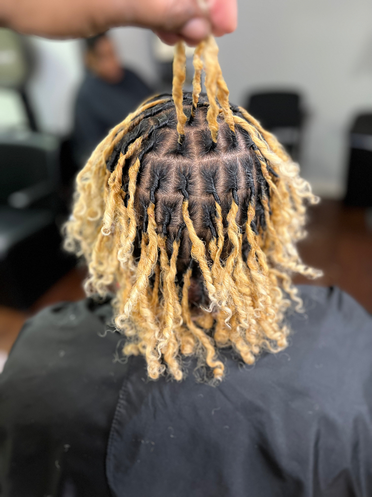 Coil Starter Locs (past Shoulders)