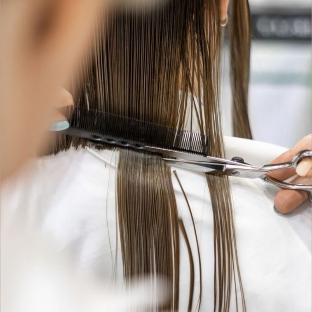 Haircutting at C. Alexander Artistry in Rapid City, SD