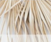1/2 " Regrowth Double Process