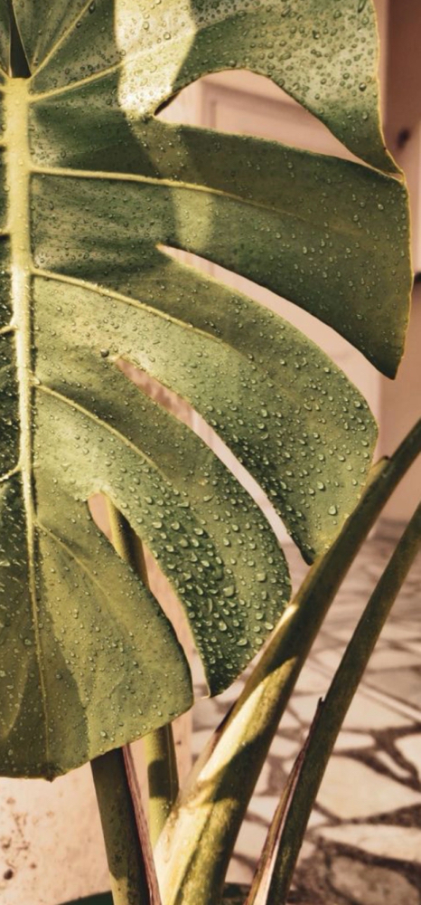 The Ultimate Bridal Glow Package