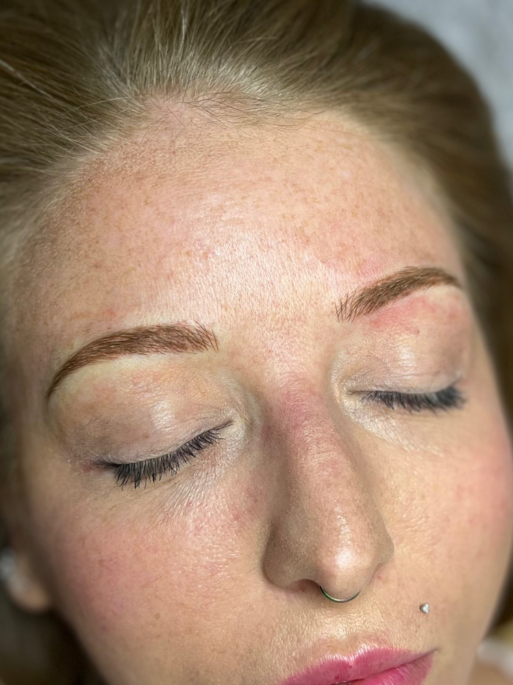 Yearly Brow Touchup