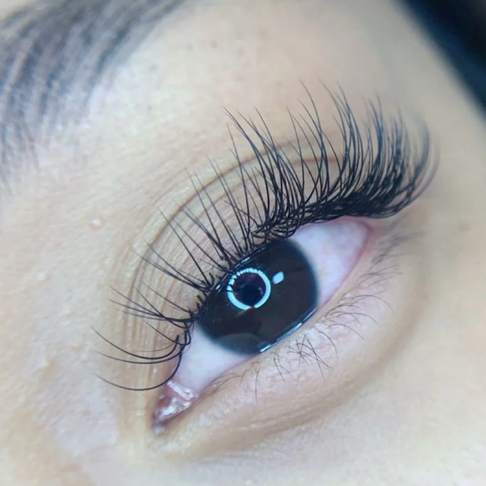 Member Classic Refill at Wink Lash Studio in memphis, TN