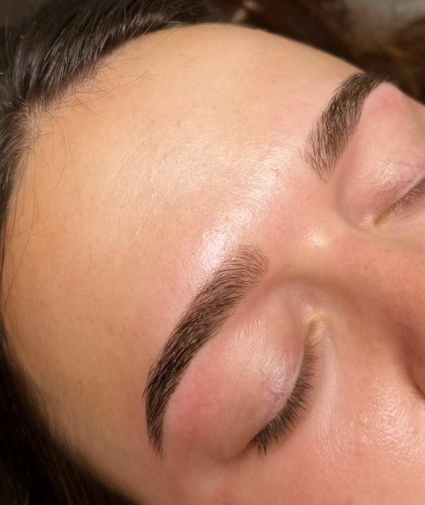 Eyebrow Wax + Tint