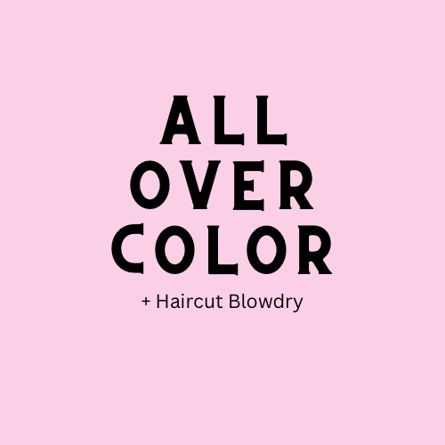 All Over Color + Cut&Blowdry