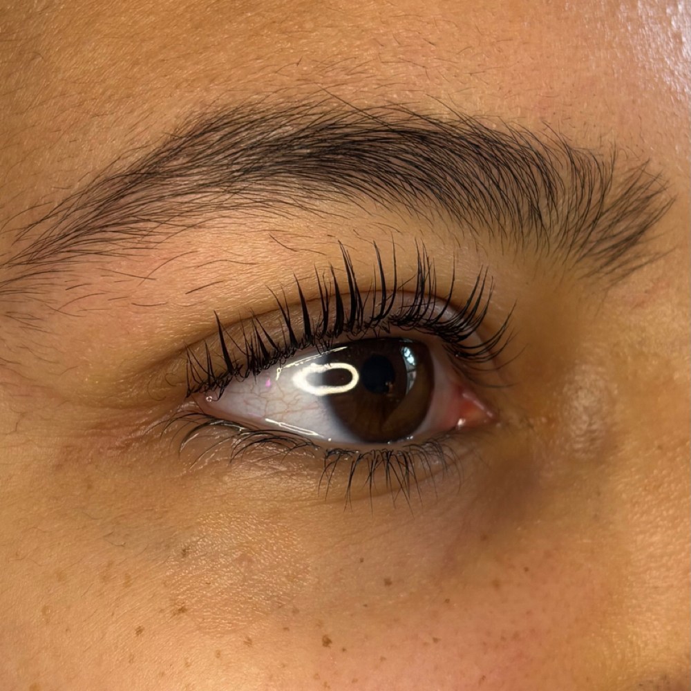 Korean Lash Lift + tint (optional) at Etheria by Rebecca LLC in Windsor Locks, CT