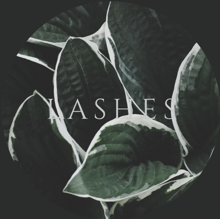 Lash Lift And Tint at LOST Esthetics in Missoula, MT