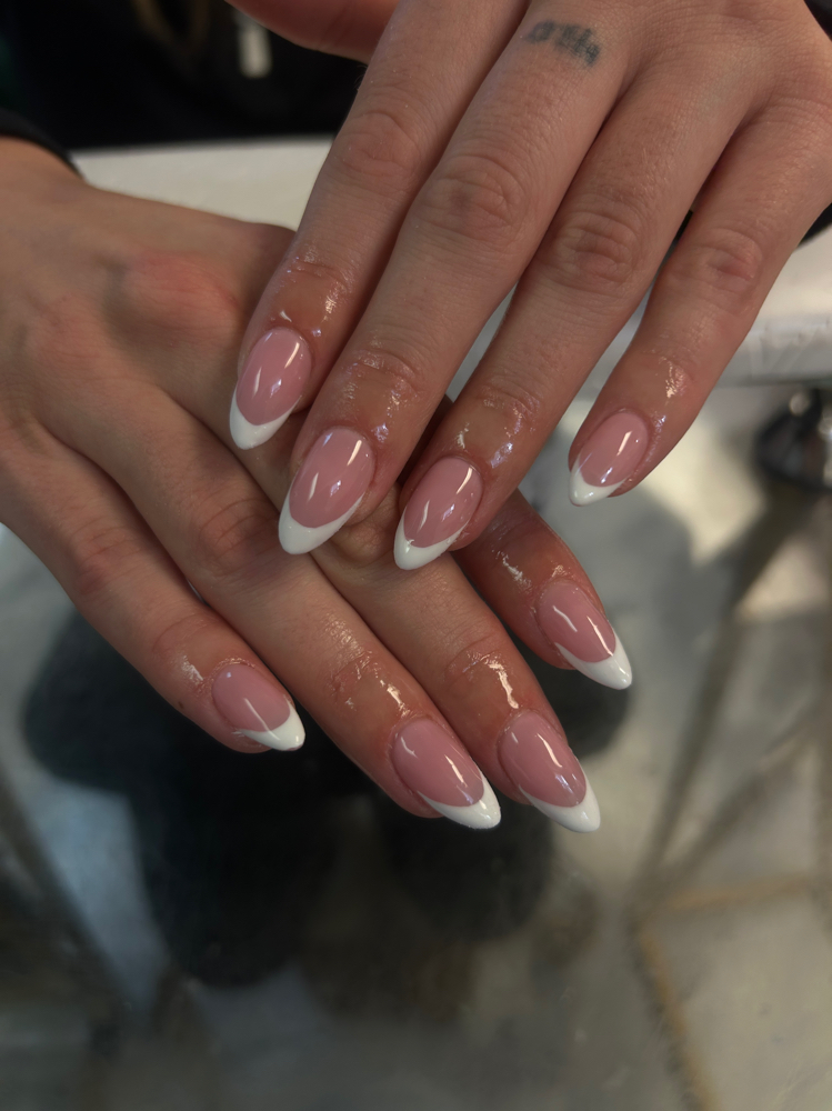 HOLIDAY FRENCHIES DEAL❤️