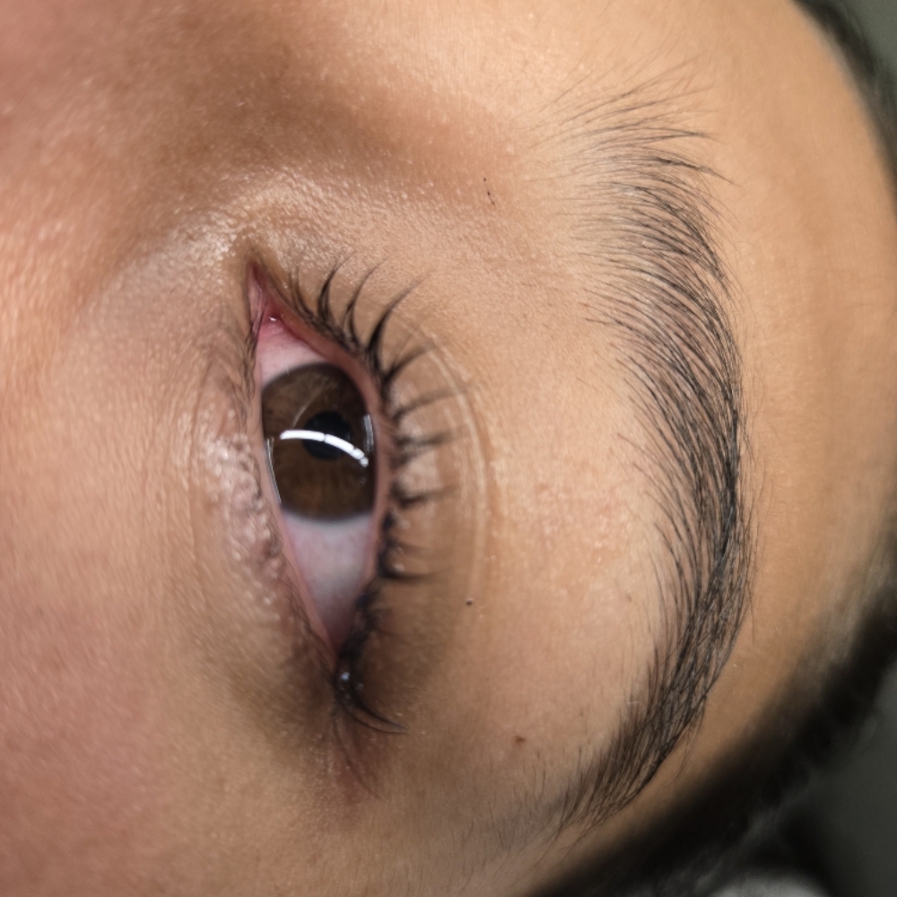 Brow and Lash Tint at Midtown Esthetics in Raleigh, NC