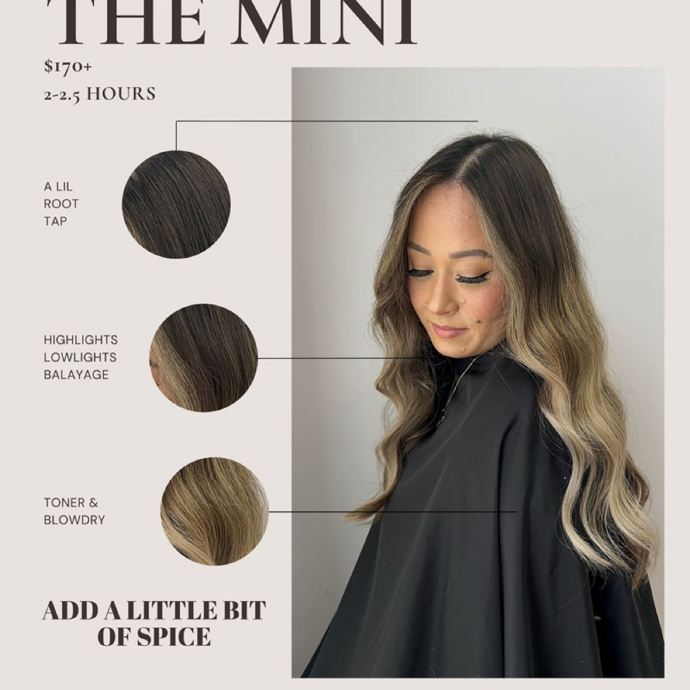 The MINI ROOT TOUCHUP