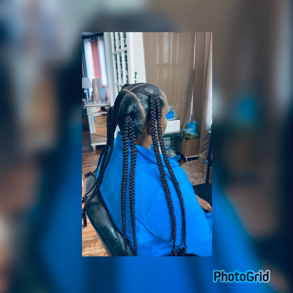 Jayda Wayda braids