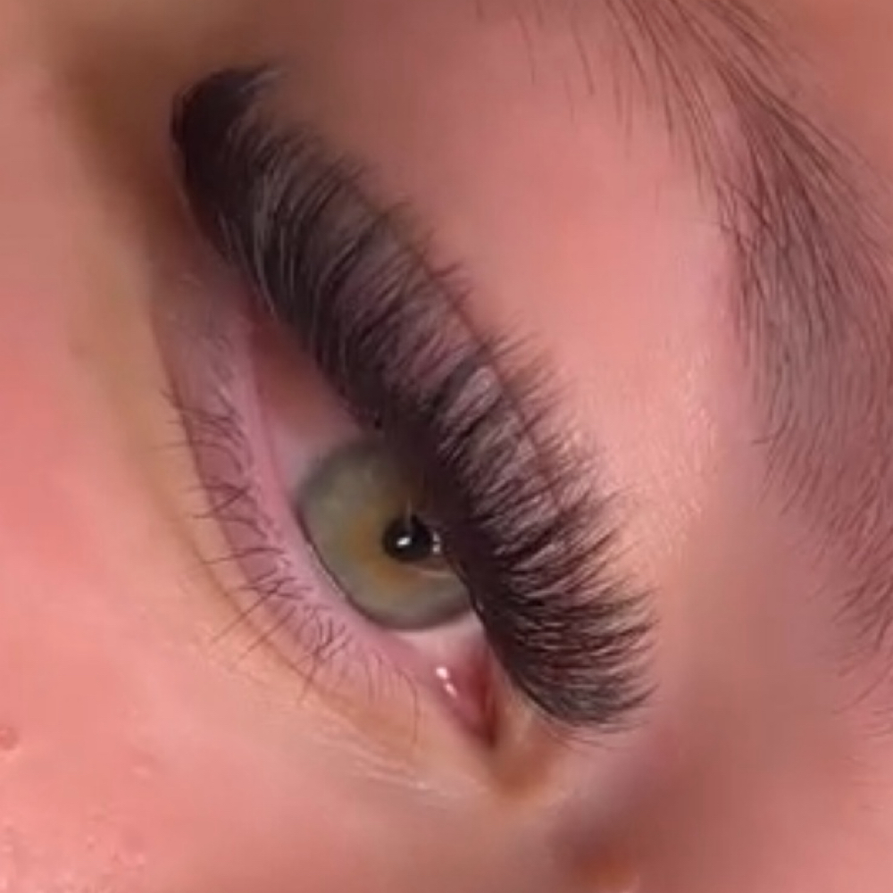 2 Week Volume Fill at Lashed Society in South Jordan, UT