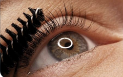 Lash Tint