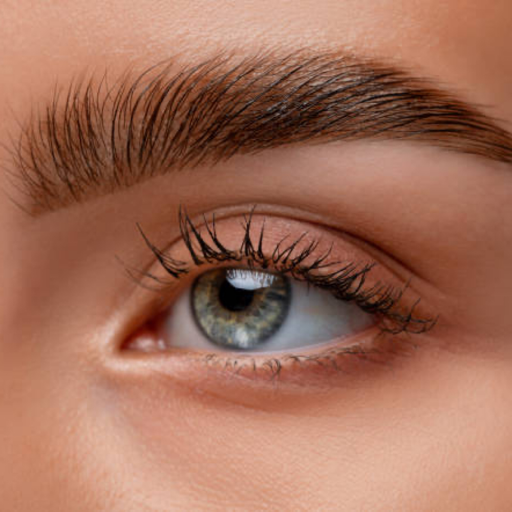 Platinum Brow Lami Makeover