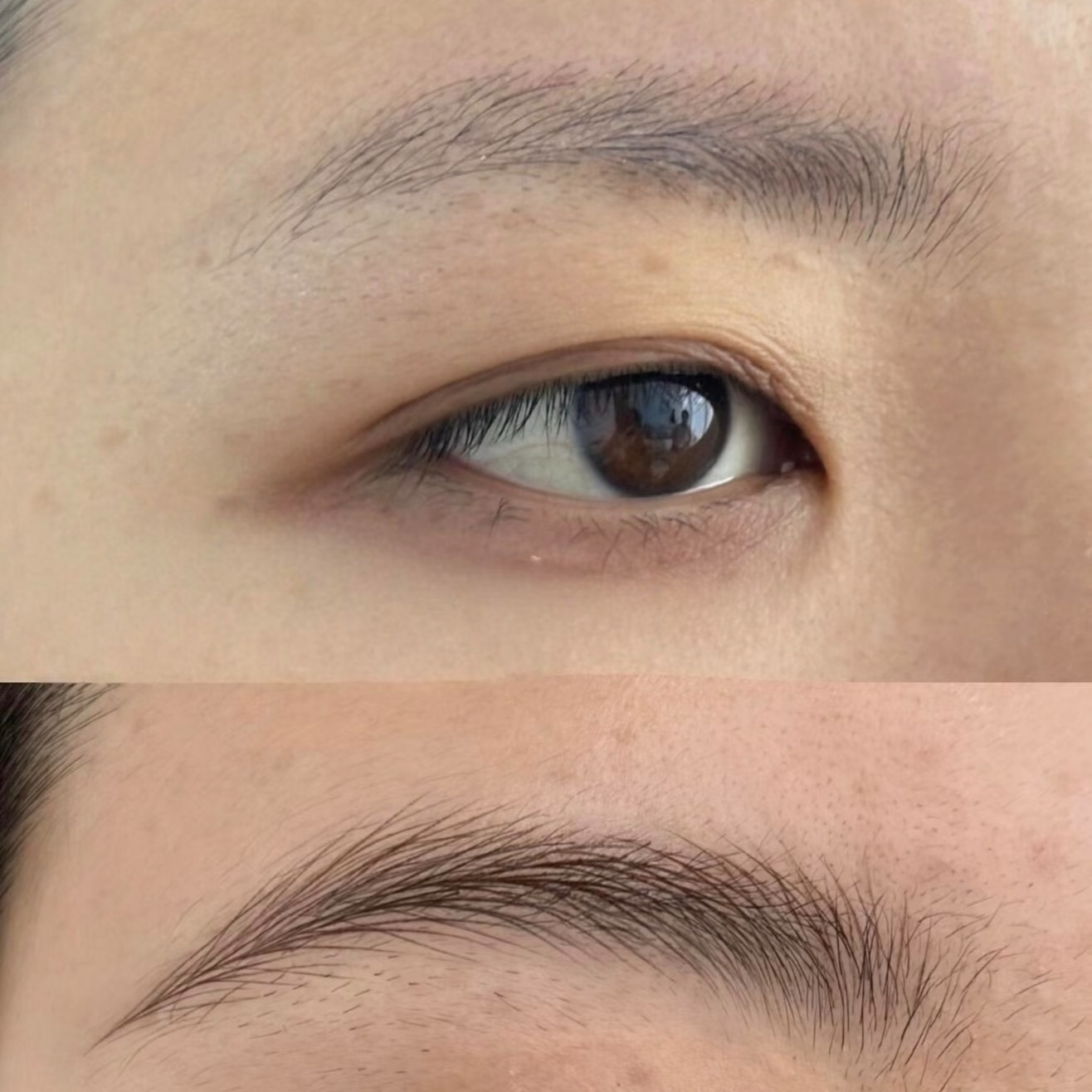 Brow Transformation at DBW BROW ARTISTRY in City of Industry, CA