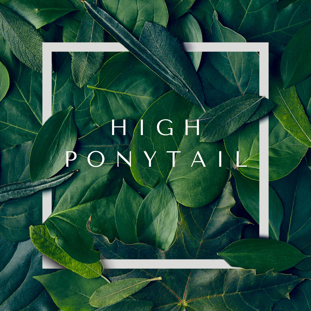 High Ponytail