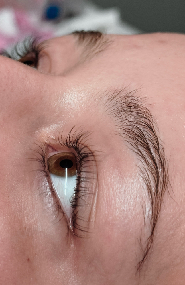 Lash Tinting
