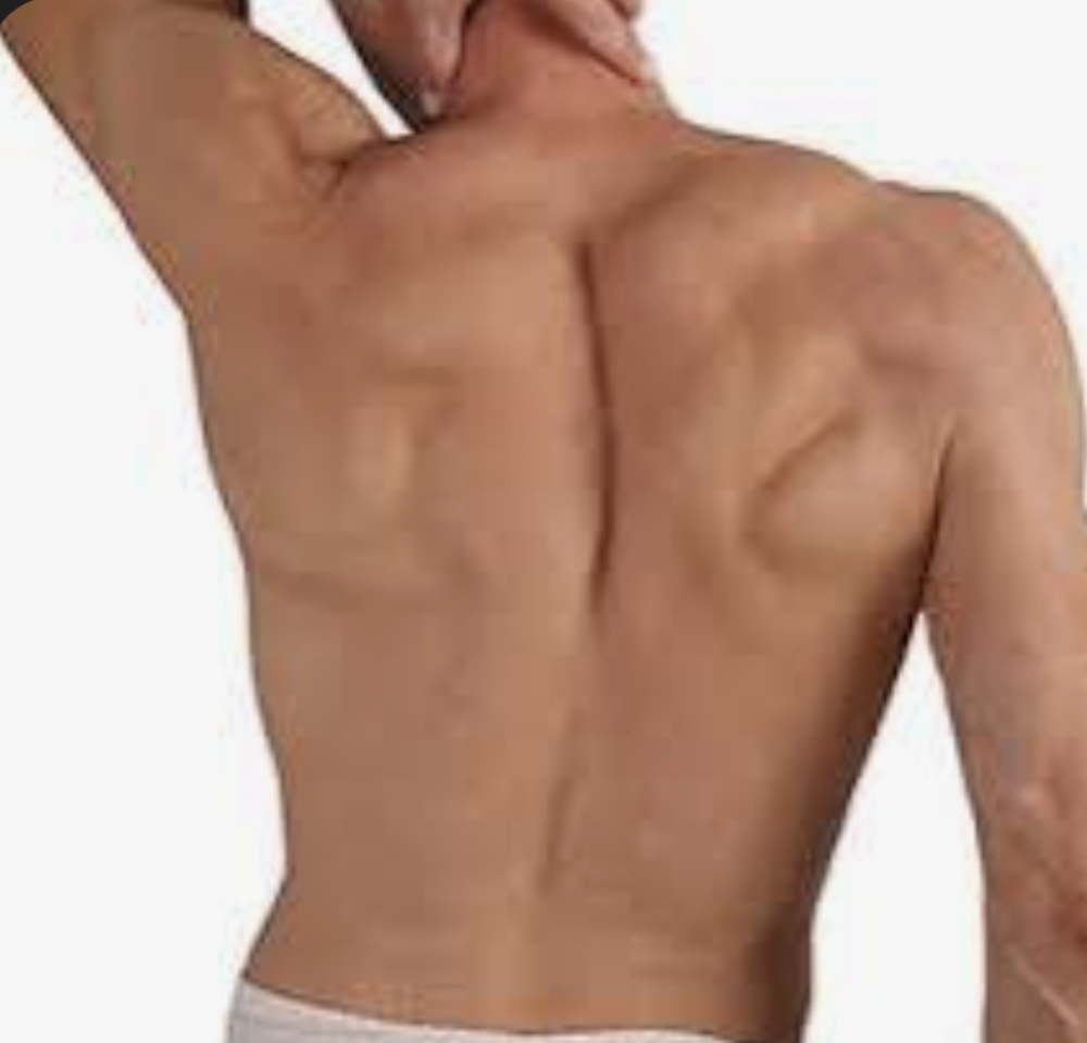 Full Back Wax