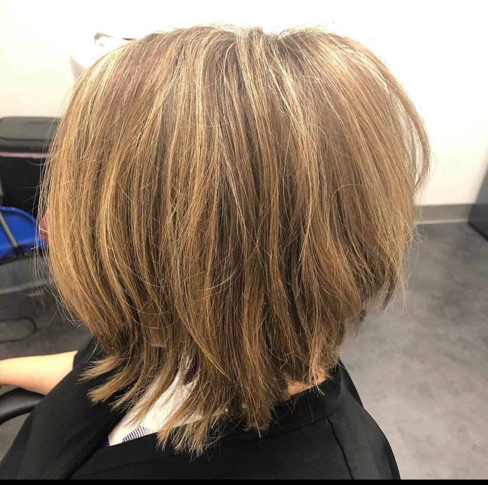 Mini Partial Highlight