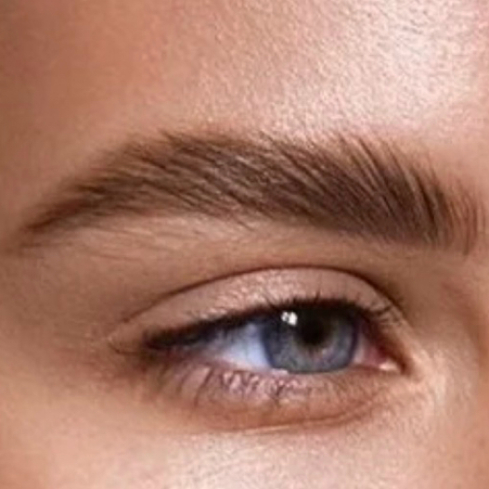 PMU Touch Up 6 weeks at Susie Carranza Brows & Beauty in Sherman, TX