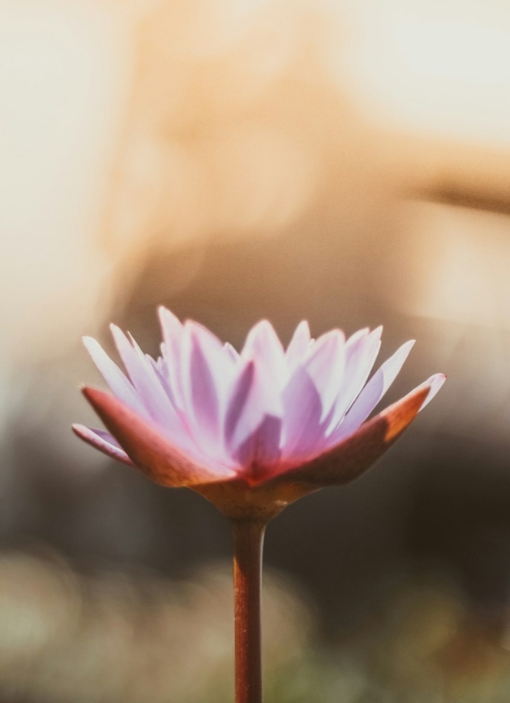 New Client Offer 60 Minute Massage