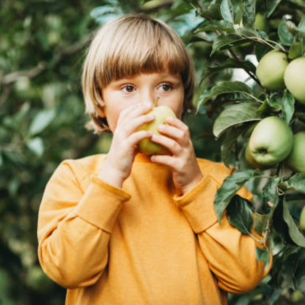 Children's Cut - Standard at Earth + Ether Holistic Salon in Boulder, CO