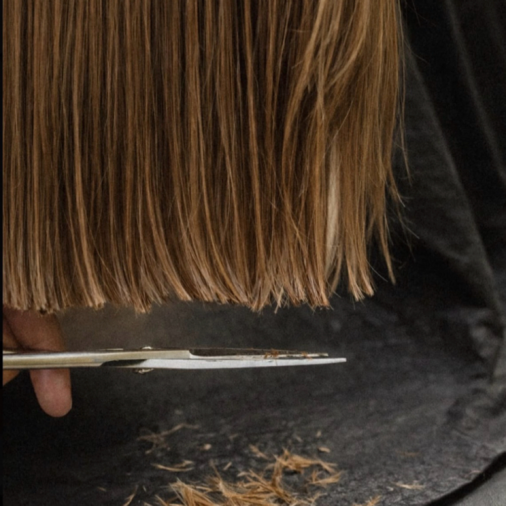 Existing Guest Haircut at Casa Mane Salon in Scottsdale, AZ