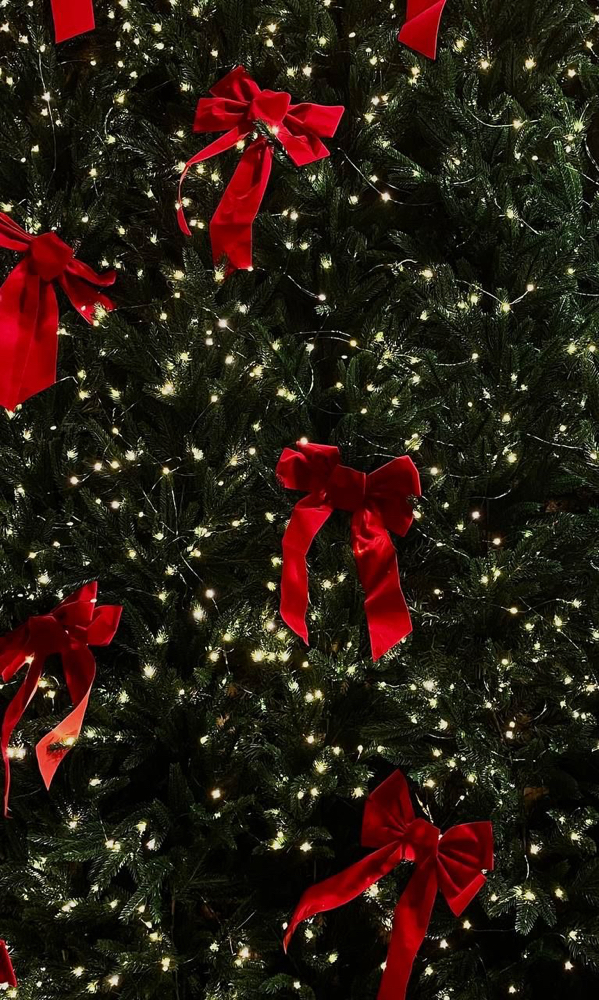 Holiday Piercing Special