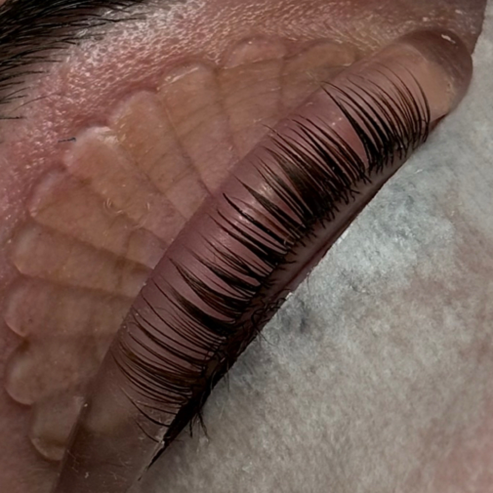 Lash Lift + Tint at Skin by Claudia in Billings, MT