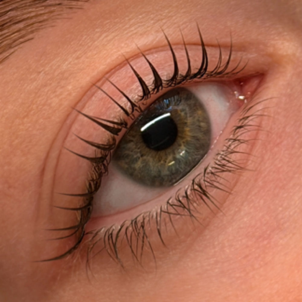 Bottom Lash Tint at Carly Artistry in Addison, TX
